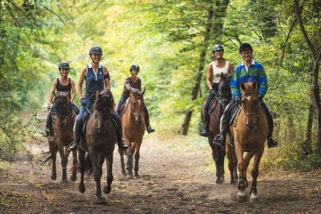 Balade en foret
