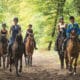 Balade en foret