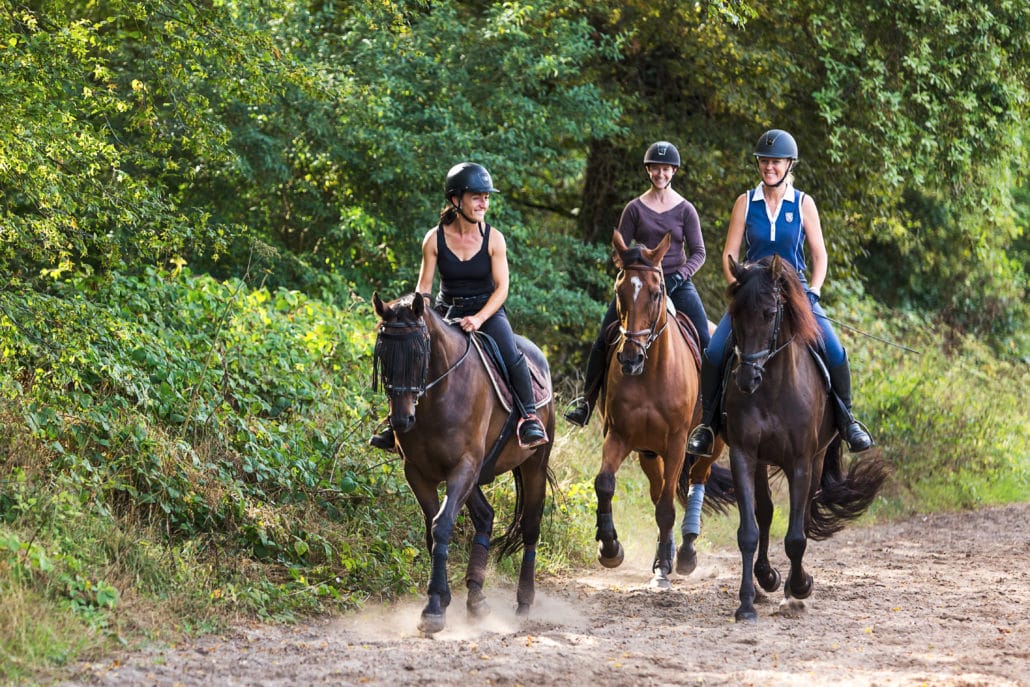 Galop en foret