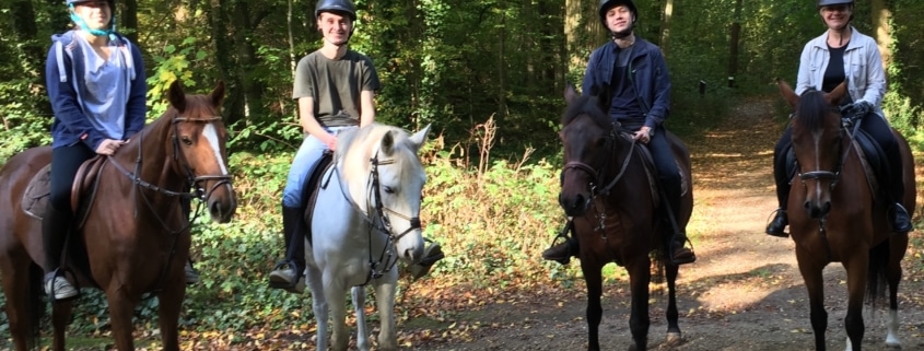 Balade à cheval pour débutant