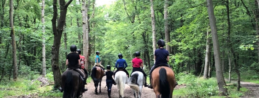 horse holidays - séjours équestre- emission de radio france bleu