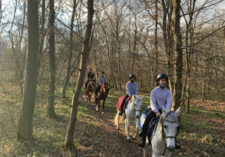 enterrement de vie de jeune fille à cheval