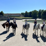 promenade activité team building idf