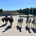 promenade activité team building idf