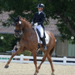 Dressage avec Alizée Roussel