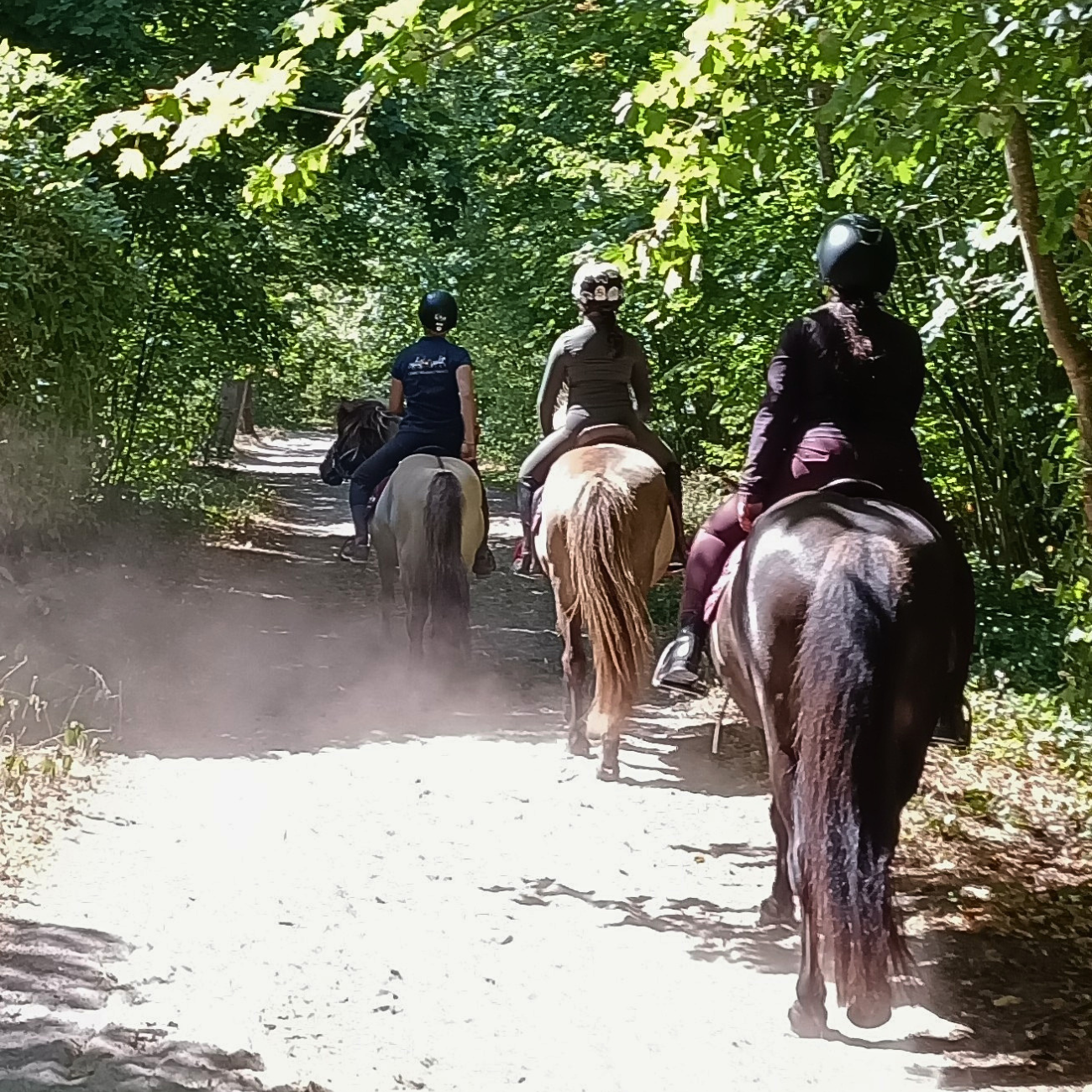 equitation promenade formule duo